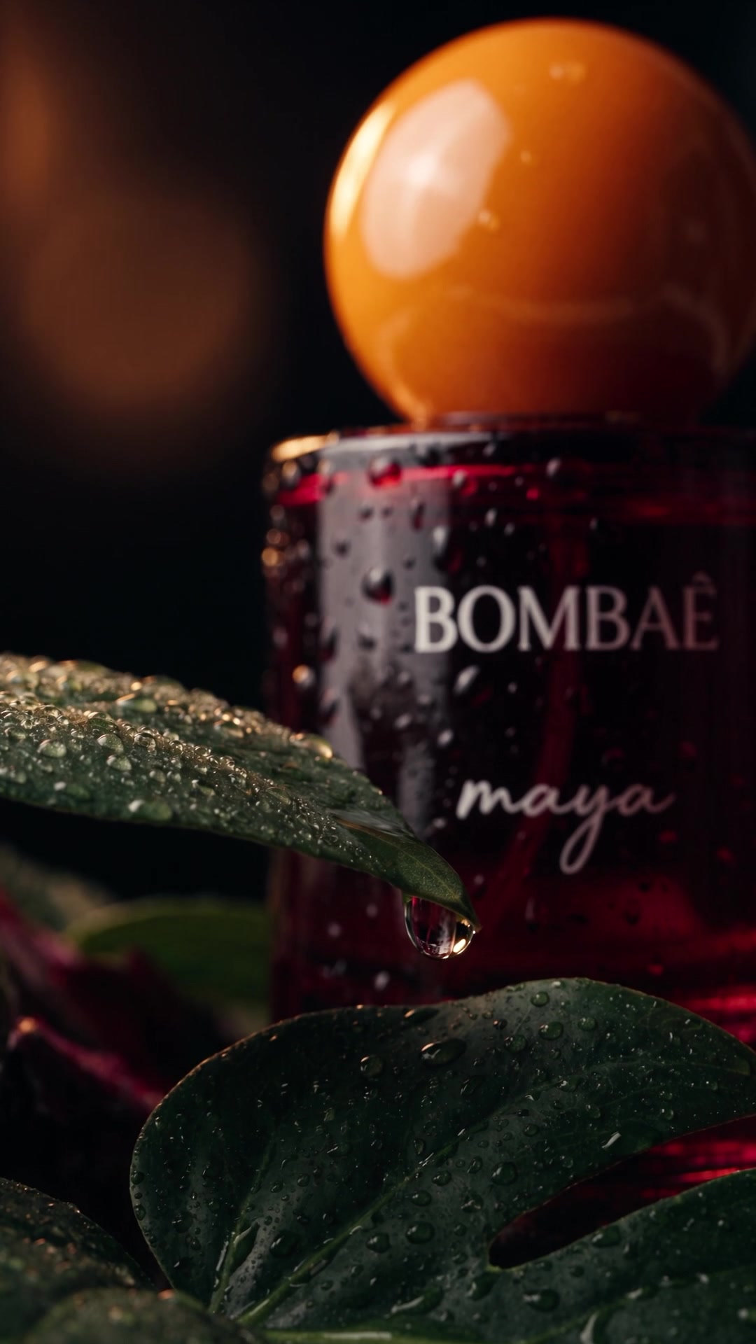 Vertical product film for Bombae Maya eau de parfum: a close focus pull across the wet orange cap settles into a full view of the bottle among dark, dewy leaves.