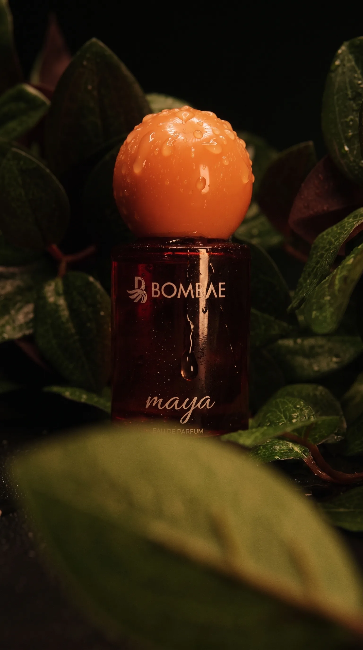 Bombae Maya eau de parfum bottle, red glass with a round orange cap, nestled among wet dark green leaves with warm bokeh light behind it.